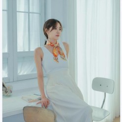 에*** 페가수스 방도