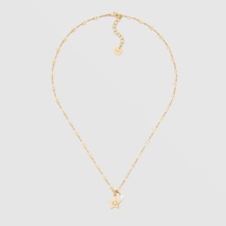 Dior Star 목걸이 N2215