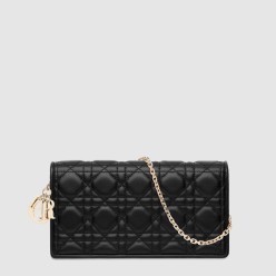 Lady Dior 파우치 S0204