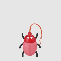 Lovely  Beetle 백참