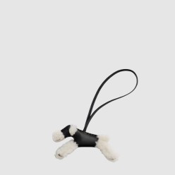 budy charm 백참