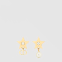 Lucky Dior 귀걸이 E3903