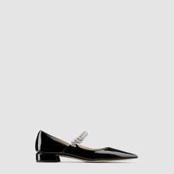 Ice pump flat