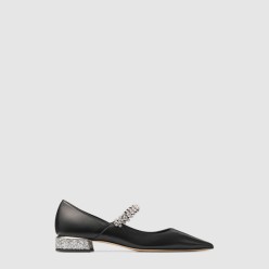 Ice pump flat