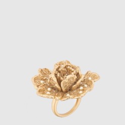 Jardin de  반지 R2595
